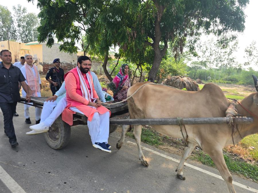 हरियाणा विधानसभा चुनाव जीतने निकल पड़ा भाजपा का विजय रथ, नारायगढ़ और पूंडरी में सीएम ने निकाला रोड शो