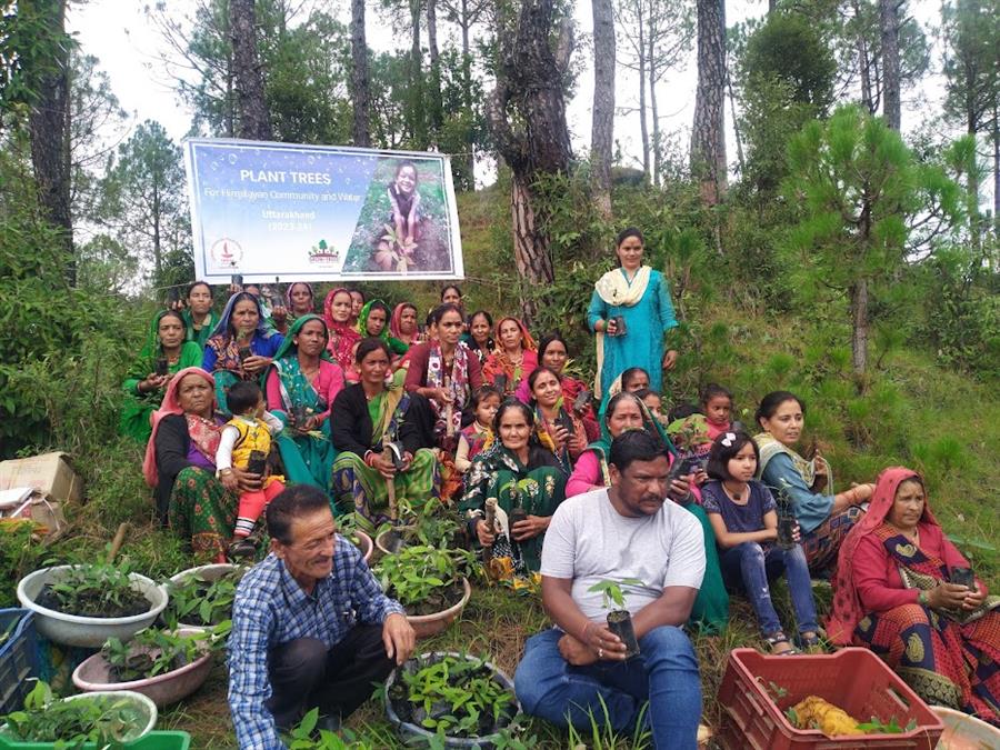 अंतर्राष्ट्रीय पर्वत दिवस: वनरोपण की पहल हिमालयी पारिस्थितिकी तंत्र की मरम्मत करती है