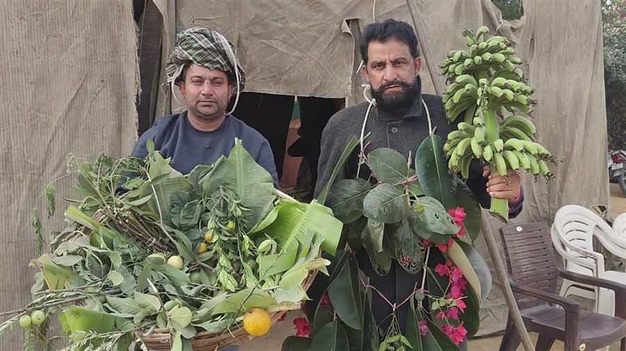 पेड़, प्रकृति, पर्यावरण, पब्लिक के लिए लड़ना पाप है, तो मैं पापी हूँ – जयहिन्द