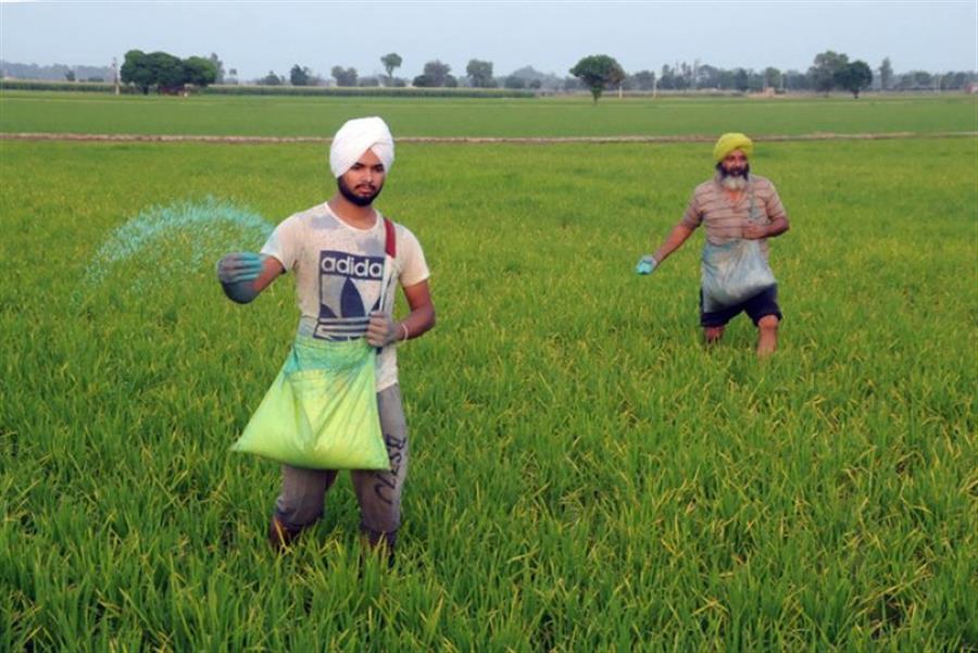 पंजाब सरकार ने कृषि क्षेत्र की समृद्धि के लिए शुरू की नई पहलें