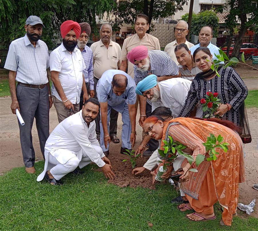 सिटी ब्यूटीफुल चंडीगढ़ को हरा भरा करने के लिए आम आदमी पार्टी चंडीगढ़ की हरित पहल