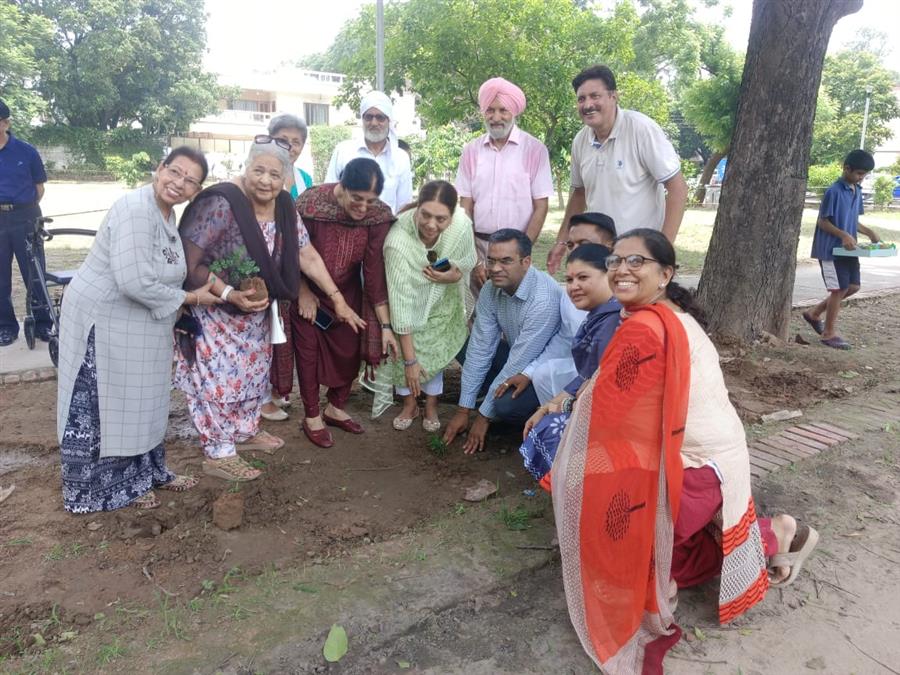 पौधारोपण अभियान के अंतर्गत लगाए 100 पौधे
