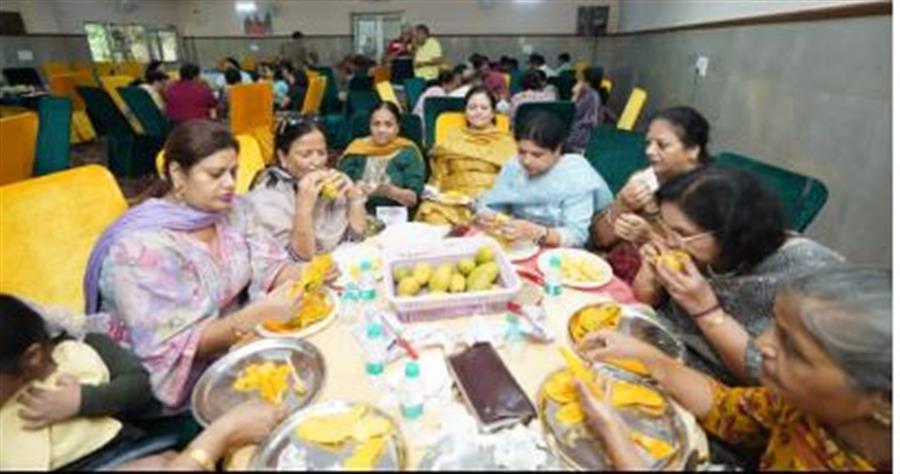 सूद भवन सेक्टर 10 पंचकुला में लगे आमों के चटकारे
