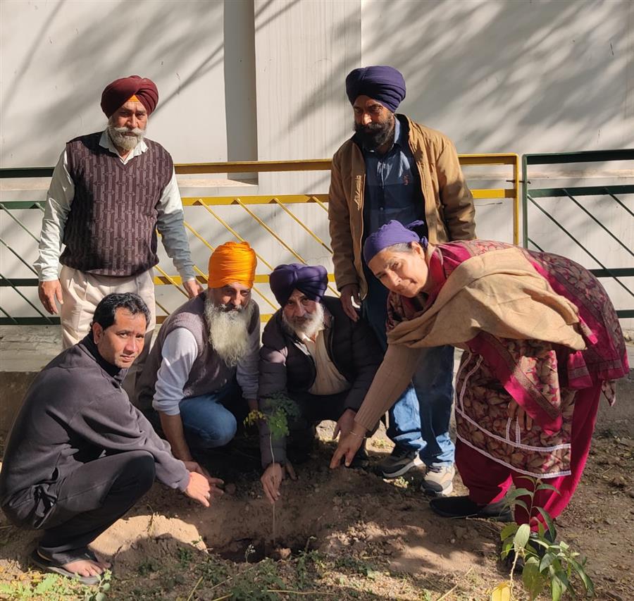 धन धन साहिबजादा बाबा फतिह सिंह जी के जन्म दिवस पर लगाऐ गऐ पौधे।