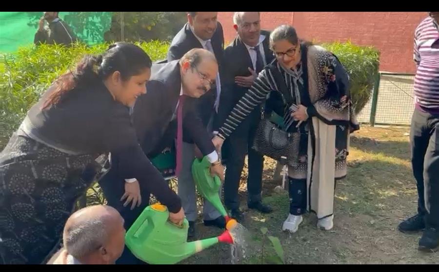 सेंट्रल बैंक ऑफ इंडिया ने 115वें स्थापना दिवस पर पौधारोपण अभियान आयोजित किया