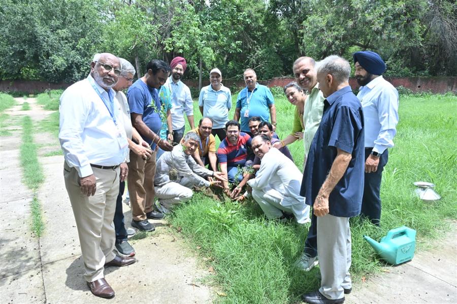 नेशनल ह्यूमन राइट्स ग्लोबल चंडीगढ़ ने कम्युनिटी ट्री प्लांटेशन किया