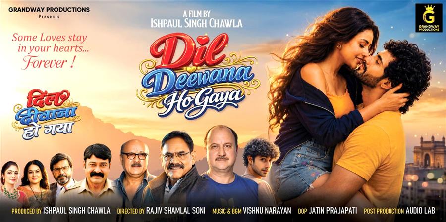 फिल्म रिव्यू  - दिल दीवाना हो गया रिव्यू: नए चेहरों ने जीता दिल, मधुर संगीत ने रच दिया जादू