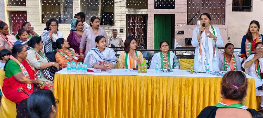 महिलाओं का शोषण करने वालों को प्रोत्साहित करती है भाजपा-नंदिता हुड्‌डा
